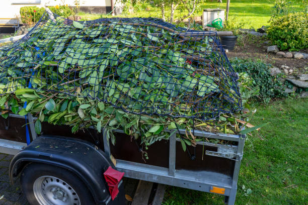 Best Shed Removal  in Selma, CA